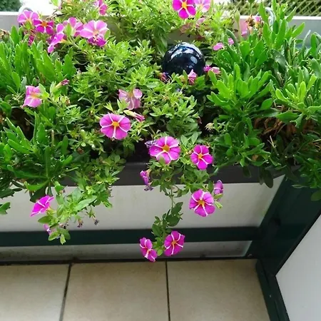 Mit Garten In * Bad Lauterberg