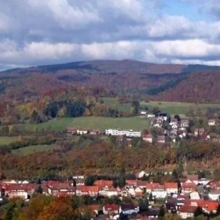 Mit Garten In *